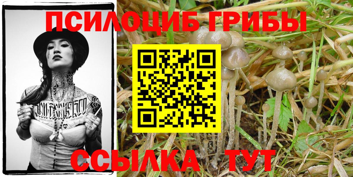 Псилоцибиновые грибы Magic Shrooms  Вход с VPN  Надым 