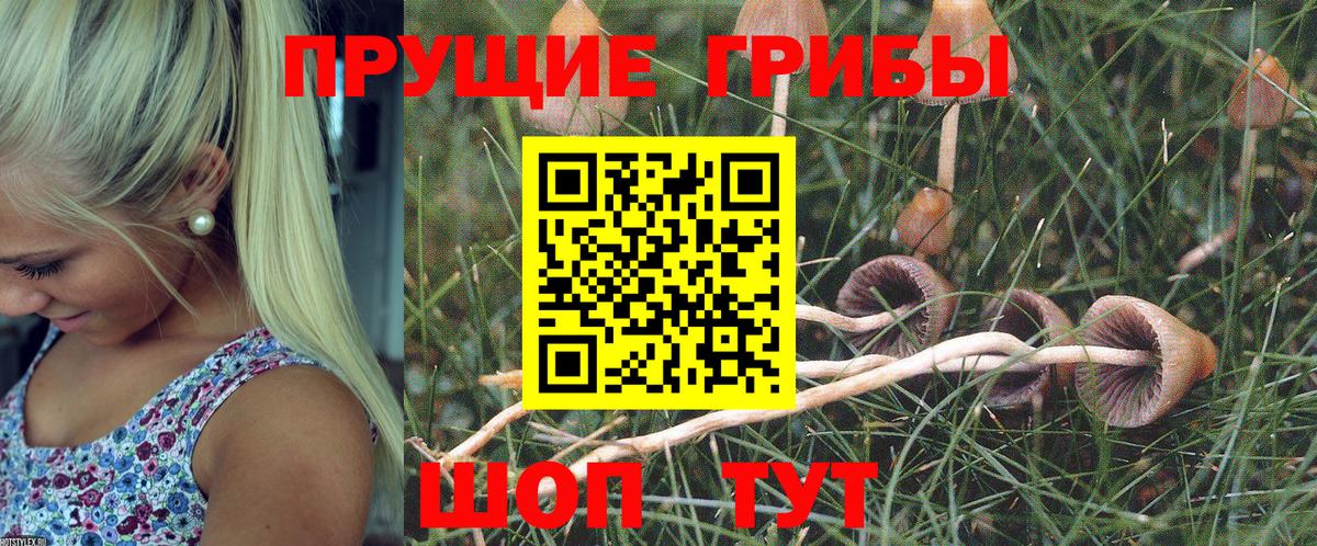 Галлюциногенные грибы GOLDEN TEACHER Надым